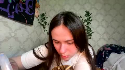 Seva online show from 6, 3, 2026