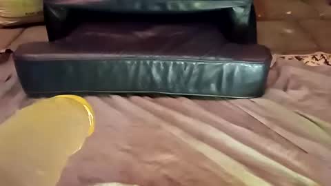 Snapshot of femboy710cum chatting on 21, 12, 2024 femboy710cum online show from 21, 12, 2024