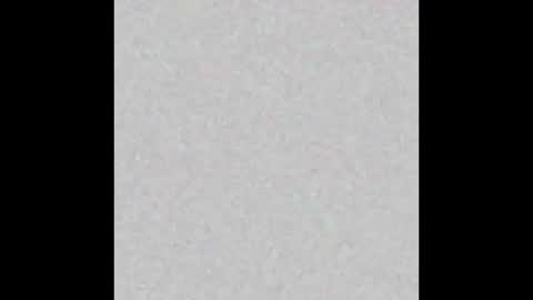 femboyfangs online show from 1, 12, 2025