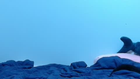 FE fee online show from 28, 2, 2025