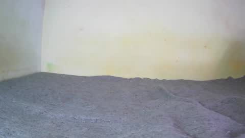 Snapshot of fernando_tlk chatting on 20, 12, 2024 Fern Tlk online show from 20, 12, 2024