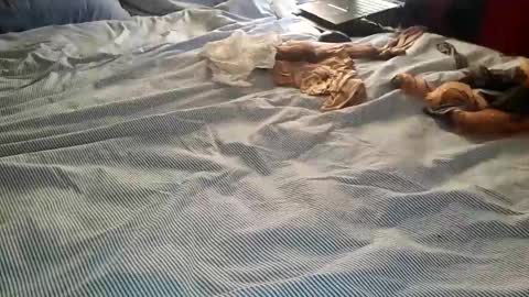 ffst0ckings online show from 25, 12, 2024