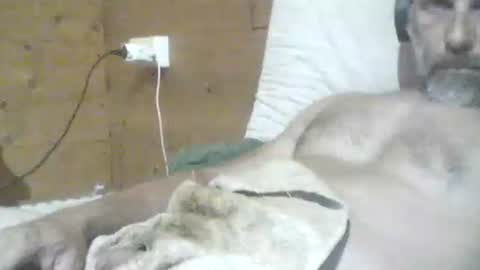 filippo online show from 29, 5, 2026