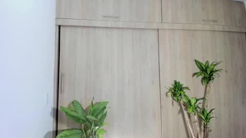 filletatouee online show from 14, 11, 2025