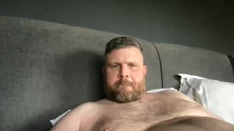 Snapshot of fin_dom_bear chatting on 23, 5, 2026 fin bear dom online show from 23, 5, 2026