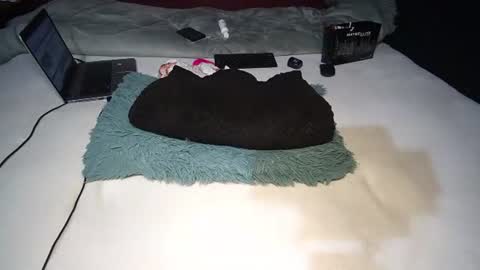 Snapshot of finito_nyl chatting on 10, 11, 2025 Rania online show from 10, 11, 2025