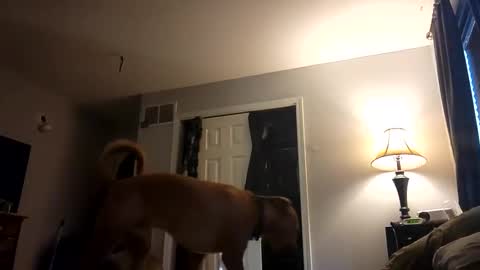 Nate online show from 28, 2, 2025