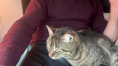 firesoul online show from 4, 3, 2026