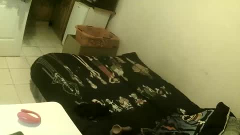 flash6969690 online show from 6, 1, 2026