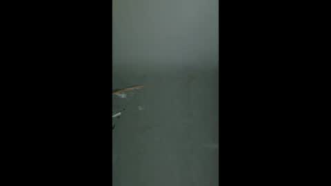 flavianflavius33 online show from 28, 4, 2026