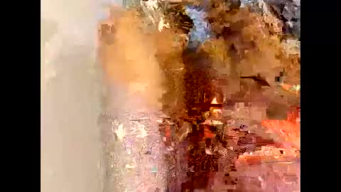 flexngudlit online show from 4, 3, 2026