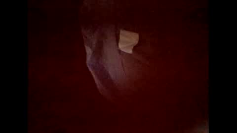 flexngudlit online show from 5, 3, 2026