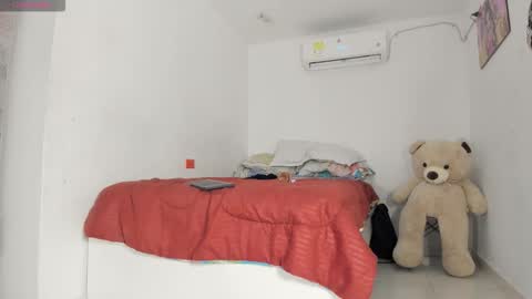    online show from 12, 3, 2026