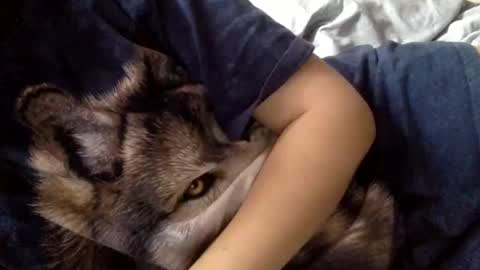 floraexploration online show from 22, 12, 2024