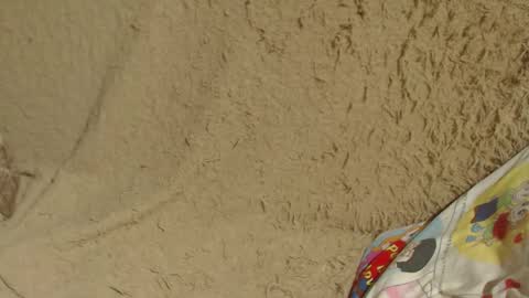 say meow and send tip  online show from 26, 1, 2025