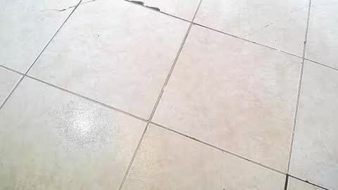 flyckers online show from 13, 9, 2025