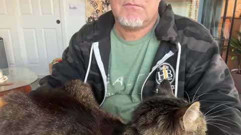 fnkywht60smthng_ online show from 11, 2, 2026