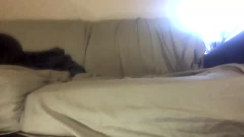 Biglongdong99 online show from 22, 4, 2026