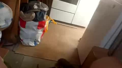 Fouducu online show from 16, 3, 2026