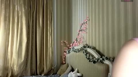 Petra online show from 1, 2, 2026