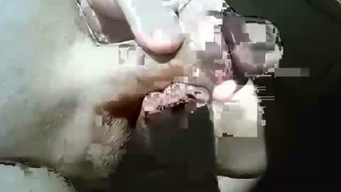 Snapshot of frank769 chatting on 29, 3, 2026 Frank online show from 29, 3, 2026