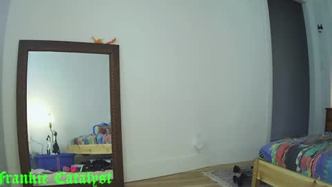 Snapshot of frankiecatalyst chatting on 20, 7, 2026 Frankie Catalyst online show from 20, 7, 2026