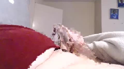 frankiel745 online show from 9, 12, 2024