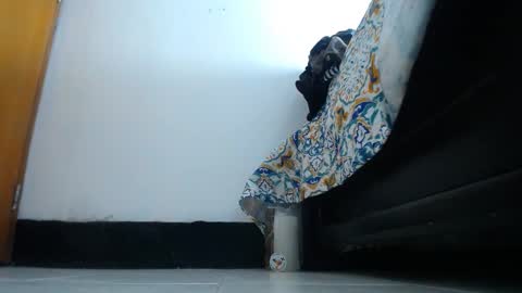 franklinm_7777 online show from 12, 11, 2025