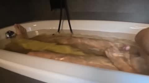 franky84 online show from 23, 2, 2026