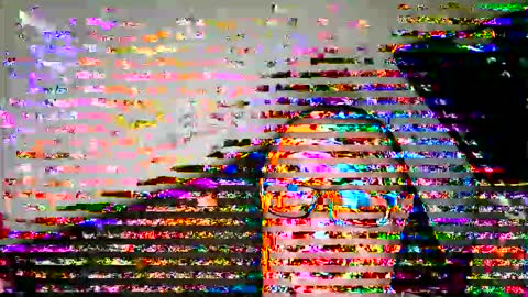 Wolfi online show from 1, 6, 2026
