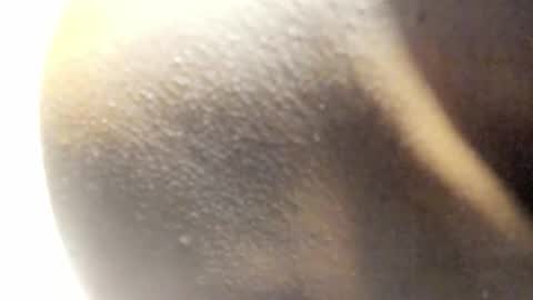 Kandy online show from 14, 3, 2026