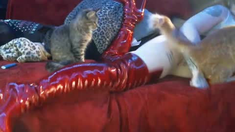 freakyspun101 online show from 13, 1, 2025