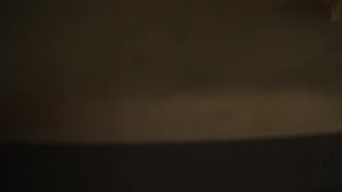 Diyana online show from 4, 10, 2025