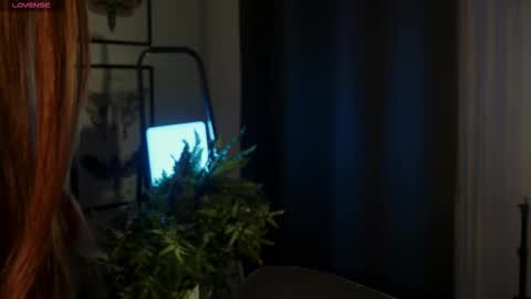 Diyana online show from 9, 10, 2025