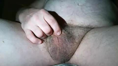 free_amos online show from 4, 4, 2026