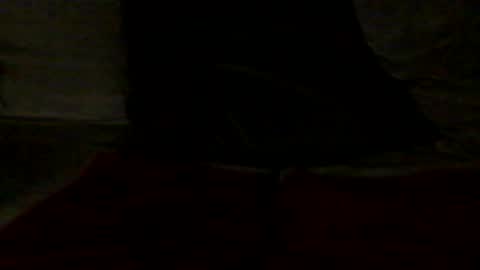 french_dick_20 online show from 13, 6, 2026