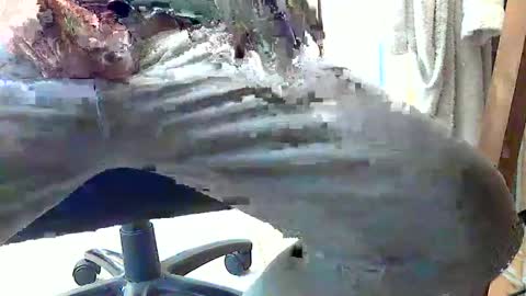 frenchpapalover online show from 28, 2, 2025