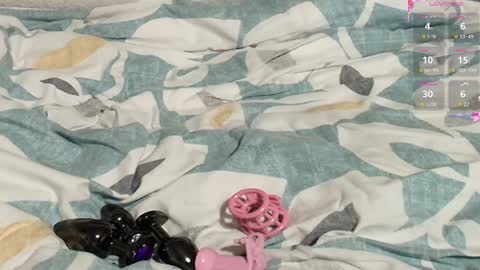 Meadow online show from 27, 2, 2025