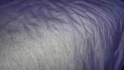 Snapshot of freythegemini chatting on 7, 1, 2025 FreyaTheGemini online show from 7, 1, 2025