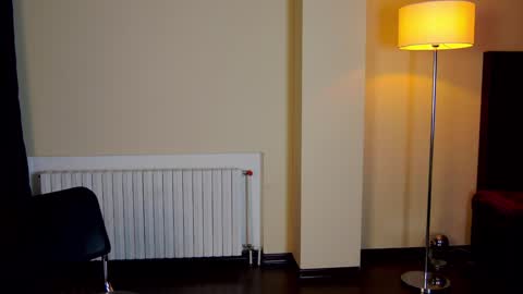 Snapshot of friend123211 chatting on 2, 2, 2025 Viktor online show from 2, 2, 2025