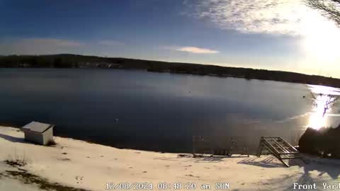 Snapshot of friendlykevn chatting on 8, 12, 2024 friendlykevn online show from 8, 12, 2024
