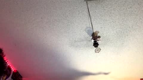 Fabian online show from 1, 4, 2026