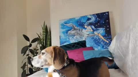 Snapshot of fuckingfairy chatting on 10, 1, 2025 Vicky online show from 10, 1, 2025