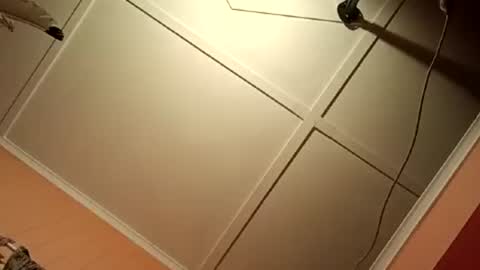Snapshot of fucmebudoo chatting on 13, 7, 2026 Warwick online show from 13, 7, 2026
