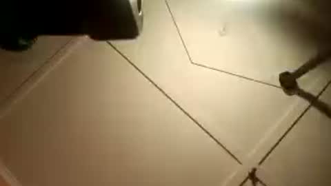 Snapshot of fucmebudoo chatting on 2, 8, 2026 Warwick online show from 2, 8, 2026