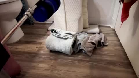 fukmyass247 online show from 13, 9, 2025