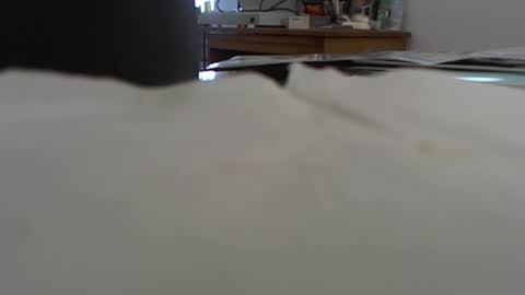 Snapshot of funone8848 chatting on 13, 1, 2025 funone8848 online show from 13, 1, 2025