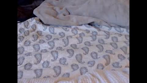 Funtimz16 online show from 8, 3, 2025