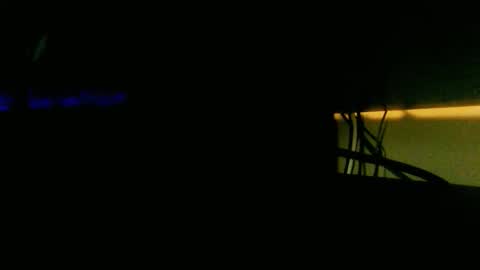 Snapshot of funwithdick7 chatting on 15, 3, 2026 funwithdick7 online show from 15, 3, 2026