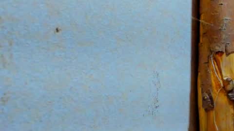 gabo_horny01 online show from 20, 7, 2026